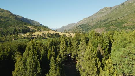 Dolly-in-flying-above-a-pine-tree-forest-in-El-Hoyo-valley-with-mountains-in-background,-Chubut,-Patagonia-Argentina