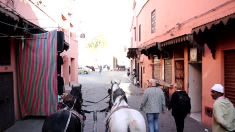 Horse-Ride-in-Marrakech-City