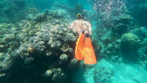 Frau-Taucht-Unter-Wasser-Mit-Schnorchel-Am-Great-Barrier-Reef