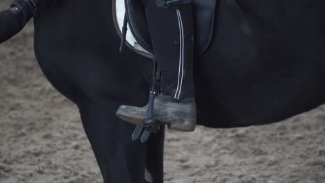 Hand-stroking-horse-as-foot-enters-stirrup,-close-up