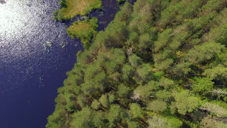 Luftaufnahmen-Von-Malerischen-Kleinen-Inseln-In-Einem-Klaren-Blauen-Finnischen-See-Im-Sommer-2018