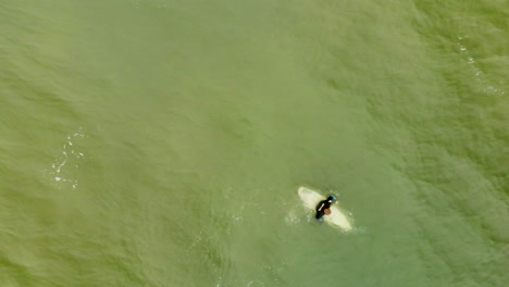 Aerial-shot-of-surfer-paddling-in-the-ocean-through-the-waves