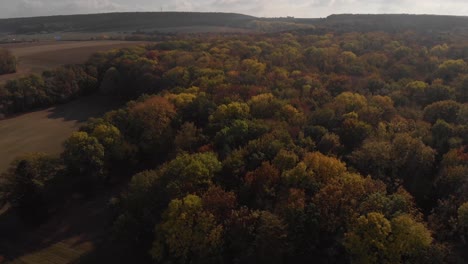 Aerial:-Flying-over-colorful-forest-in-autumn-in-germany,-thuringia