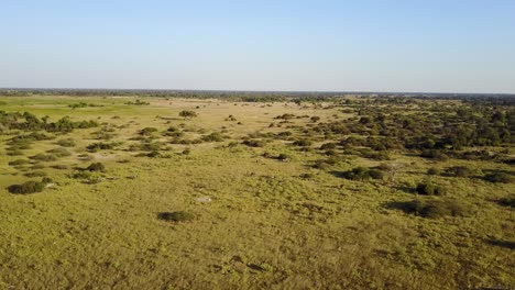 Aerial-landscape-of-Botswana-grasslands-with-elephants-in-distance,-golden-hour