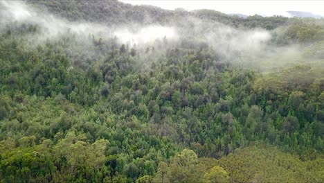 Aerial-flight-over-foggy-mountains-and-green-forest-in-Tasmania-in-Australia,-medium-shot-dolly-left