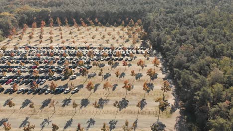 Sideway-aerial-drone-shot-of-a-parking-space-in-the-middle-of-a-forest-with-cars-parked-and-sunlight-creating-shadows-of-the-symmetrically-placed-trees