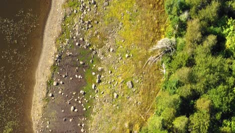 Luftaufnahmen-Eines-Abgelegenen-Sees-Im-Norden-Von-Maine,-Der-Von-Oben-Nach-Unten-Rückwärts-An-Einem-Grasbewachsenen-Ufer-Entlangfliegt