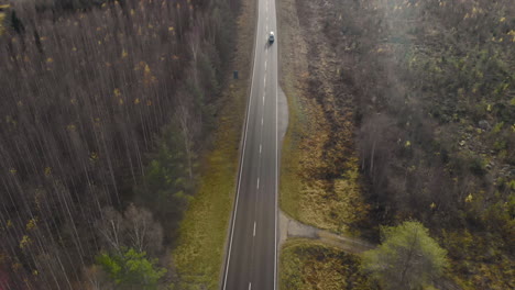 Aerial,-tilt,-drone-shot,-following-a-car,-on-a-dark,-asphalt-road,-between-pine-trees-and-leafless,-birch-forest,-sun-flares,-on-a-sunny-autumn-day,-in-Juuka,-North-Karelia,-Finland