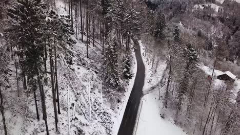Aerial-shot-with-a-drone-from-a-road-which-goes-through-a-forest-in-Switzerland