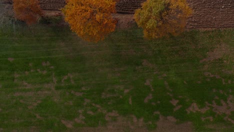 Top-down-aerial-view-of-plowed-farm-field-and-fall-colored-trees