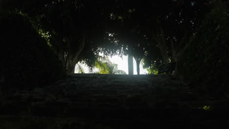 Tiro-De-ángulo-Bajo-Oscuro-De-Grandes-Escaleras-En-Jardín-Tropical
