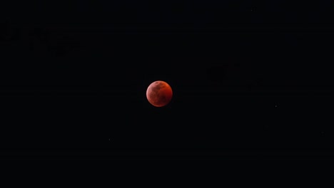 a-timelapse-of-the-wolf-bloodmoon-rising