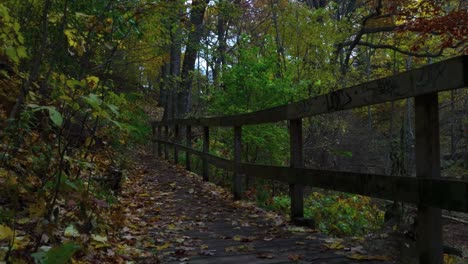 Tilt-down-from-the-sky-in-an-urban-forest-ravine-to-reveal-walking-path-and-a-foot-bridge-covered-with-leaves