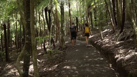Young-couple-from-behind-hiking-through-New-Zealand-forrest