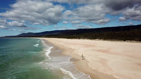 Lone-Person-Walking-Along-Beautiful-Beach-With-White-Sand-And-Waves-Rolling-In-Tasmania,-Australia
