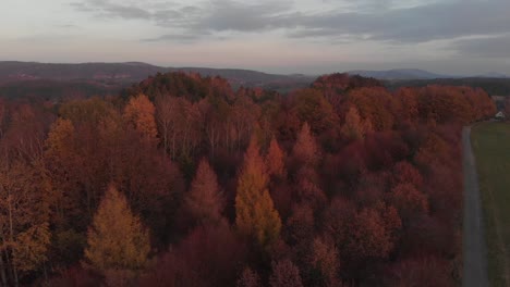 AERIAL:-Flying-over-colorful-forest-with-orange-and-red-trees-in-autumn
