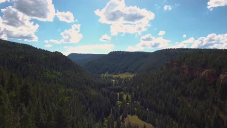 AERIAL:-Slow-push-in-through-the-valley-of-evergreen-trees