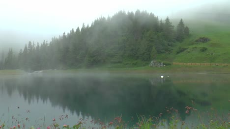 Nebel-über-Einem-See