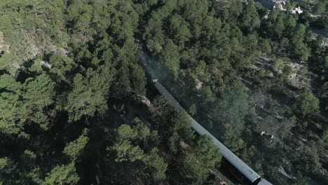 Aerial-shot-of-the-Chepe-train-passing-though-a-forest,-Divisadero,-Copper-Canyon-Region,-Chihuahua
