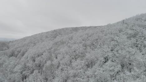 Luftaufnahme-Des-Waldes-In-Rumänien,-Im-Winter