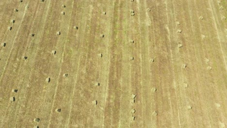 Aerial-view-of-round-hay-bales-on-stubble-in-the-background