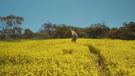 Young-man-cartwheels-through-a-meadow-of-yellow-Everlasting-wildflowers-in-Coalseam-Conservation-Park-Slow-Motion