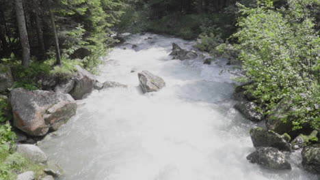 Mountain-stream-in-the-wood-of-the-italian-Alps-in-summer,-slow-motion-100-fps
