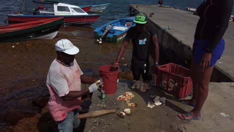 Fishermen-showing-a-tourist-how-to-prepare-conch-for-cooking
