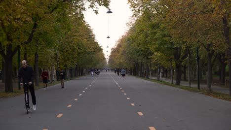 People-Walking,-Biking,-Skating,-Running-and-Having-Fun-Along-the-Roadway-of-Green-Trees-during-Autumn-In-Prater---Wide-Shot-4K