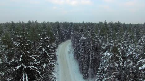 Forward-moving-aerial-view-of-a-snowy-fir-tree-forest-road-in-daytime