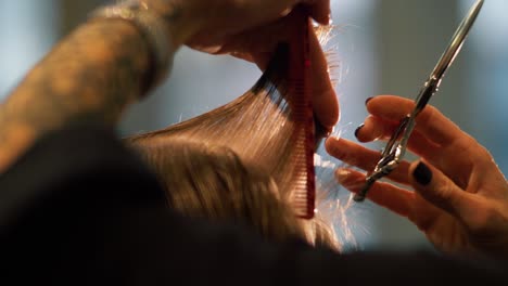 Close-up-view-of-hair-stylist-trimming-hair-of-customer-with-scissors