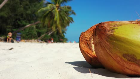 Close-up-of-a-cracked-coconut-on-the-sandy-beach