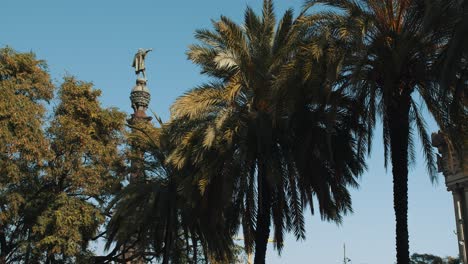 Die-Kolumbusstatue-In-Barcelona-Mit-Palmen-Im-Vordergrund