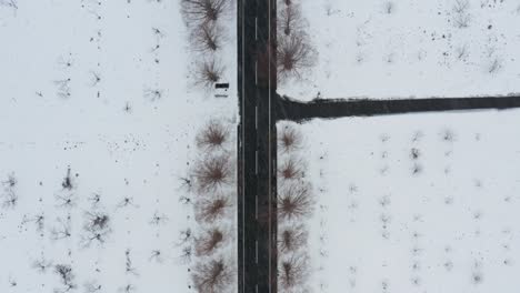 Aerial-top-down-forward-of-road-and-junction-in-Metasequoia-snowy-park