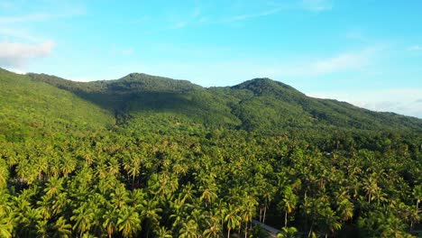 Tropical-jungle-with-palm-trees-forest-on-slopes-of-beautiful-hills-of-islands-under-bright-blue-sky-with-white-clouds-in-Myanmar