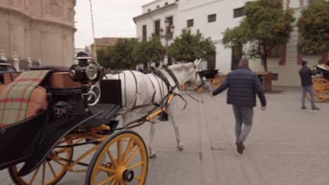 Mann-Führt-Pferd-Und-Zieht-Leere-Kutsche-Auf-Dem-Platz-In-Sevilla,-Spanien