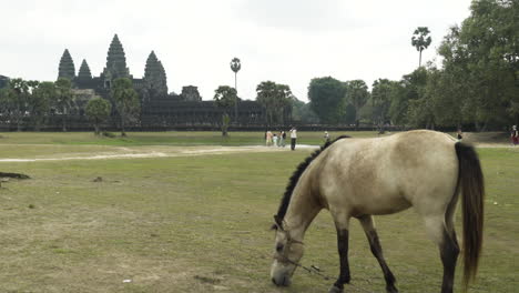 Weitwinkelaufnahme-Des-Historischen-Tempels-Angkor-Wat-Mit-Einem-Pferd,-Das-Gras-Frisst,-Im-Vordergrund
