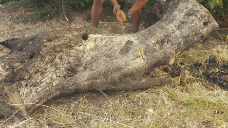 Refugiado-Cortando-Un-árbol-Para-Hacer-Leña-En-El-Campo-De-Refugiados-De-Moria.