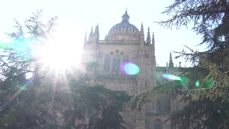 Salamanca,-Spain---December-7,-2019:-Beautiful-views-of-the-Salamanca-cathedral-behind-the-trees-at-the-entrance,-the-flare-of-the-sun-in-the-dome