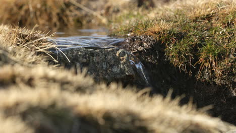 A-fresh-clear-water-streaming-from-the-melting-ice-from-the-mountains-of-Serra-da-Estrela,-Portugal---close-up