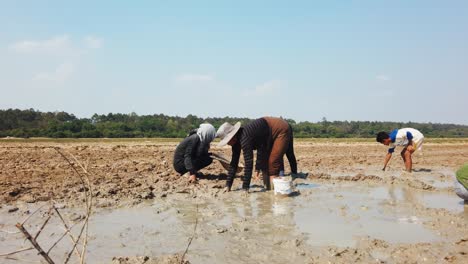 People-Digging-for-Fish-in-the-Mud-on-a-Field