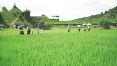 Japanese-Family-Walking-Through-The-Lush-Green-Rice-Fields-And-Grass-At-The-La-Collina-A-Hill-like-Roof-Covered-In-Green-Lawn-In-Shiga,-Japan
