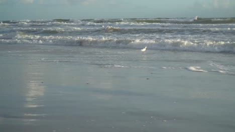 Wellen-Plätschern-Bei-Flut-Bei-Sonnenaufgang-Am-Strand