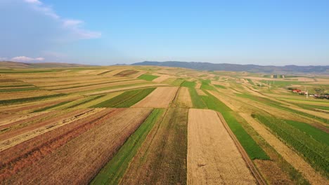 Flying-over-multicolored-patchwork-fields-lit-by-warm-sunshine,-Romania