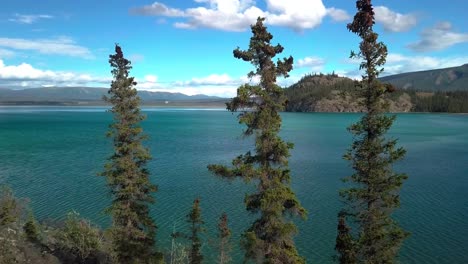 Breathtaking-colorful-Yukon-wilderness-summertime-tranquil,-serene-and-remote-scene-of-green-turquoise-Kluane-lake-waters-by-Jacquot-island-on-bright-blue-sunny-sky-day,-Canada,-handheld-pan-left