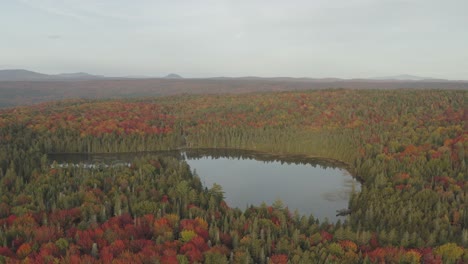 A-small-calm-pond-surrounded-by-endless-forest-in-peak-fall-foliage-AERIAL