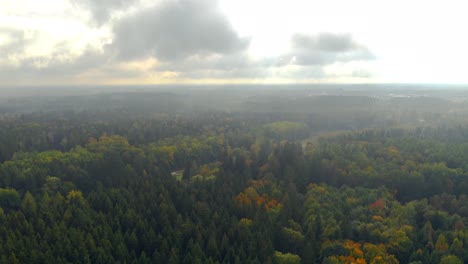 Moving-clouds-over-a-green-autumn-forest-filmed-from-above-in-4k-fby-a-drone,-idyllic-landscape-straight-after-the-rain