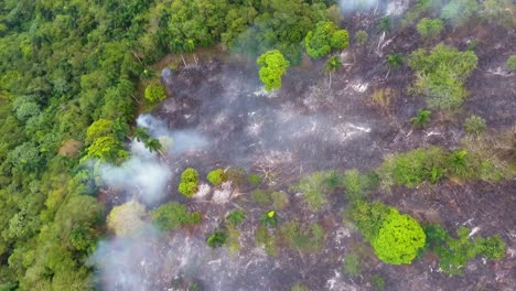Aerial-view-over-burnt-nature-a-smoking-deforestation-area,-lungs-of-earth-on-fire,-wildfire-in-South-America---Top-down,-drone-shot