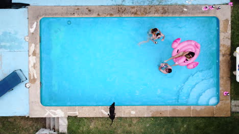 Luftaufnahme-Eines-Privaten-Swimmingpools-Von-Oben-Nach-Unten.-Gruppe-Enger-Freunde,-Die-Während-Der-Heißen-Sommermonate-Im-Wasser-Mit-Rosa-Schwimmenden-Flamingos-Spielen
