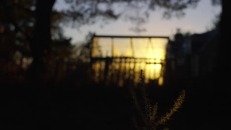 Rising-shot-of-a-young-tree-growing-with-the-sun-reflecting-on-the-greenhouse